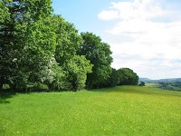 Usk Castle Chase Natural Burial Ground 285142 Image 0